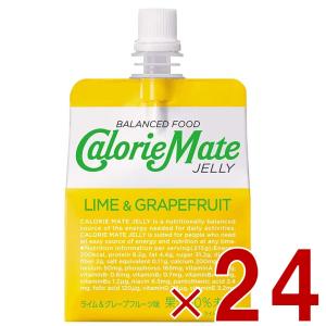 大塚製薬 カロリーメイトゼリー アップル味 215g パウチ 24個入