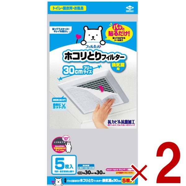 フィルたん 東洋アルミ ホコリ取り フィルター 換気扇 花粉 黄砂対策 30cm 5枚入り 2個