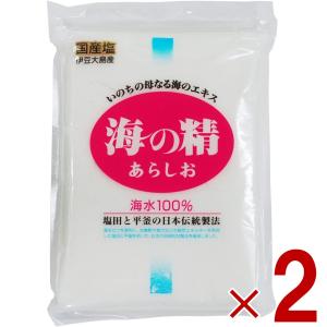 塩 粗塩 あら塩 海の精 あらしお 500g 2個｜sgline