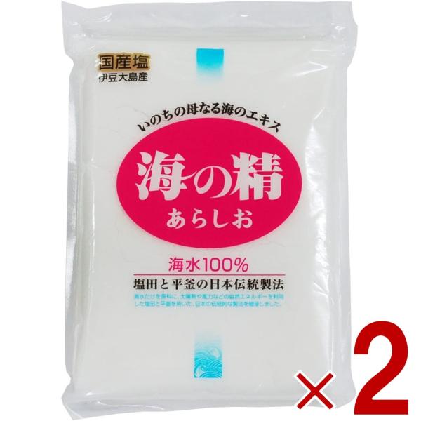 塩 粗塩 あら塩 海の精 あらしお 500g 2個