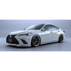 RSR RS-R Best-i Active車高調(ベストアイアクティブ) レクサス