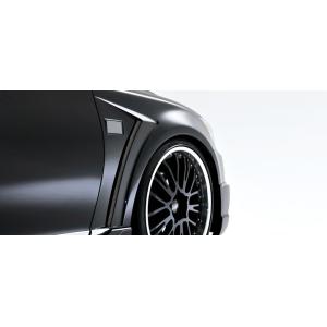 アーティシャンスピリッツ（ARTISAN） スポーツフェンダーキット　ＦＲＰ未塗装　レクサスLS60...