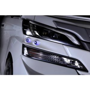 30系アルファード後期Sグレード】フロントグリル未塗装(ニューズ