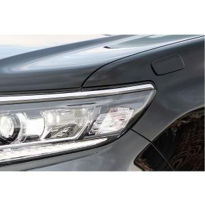 リミテッドチトセ RICK'S アシストミラーホールカバー 後期 純正