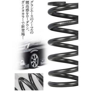 エイムゲイン（AIMGAIN） 純VIPEXE マフラーフィニッシャー【マフラー