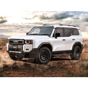 レイズ(RAYS)チームデイトナD9 16イン...の詳細画像5