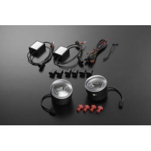 ライツ【REIZ】デイライト機能内蔵ハイパワーLEDフォグランプ