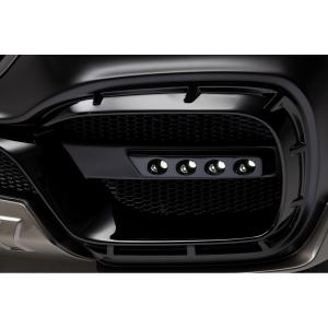 テンマクデザイン サーカスTC DX専用窓付きフロントフラップ