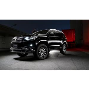 WALD 150プラド後期用　オーバーフェンダー　一部欠 WALD 150プラド後期用 オーバーフェンダー 一部欠 ランドクルーザー