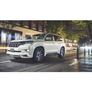 リミテッドチトセ】RICK'S エアロ マッドガード リア用 ランドクルザー