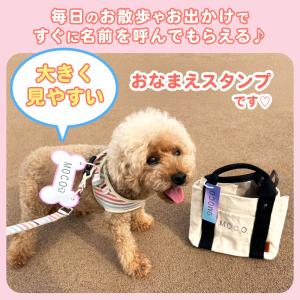 【今だけ送料無料!】シヤチハタ公式 おなまえス...の詳細画像1