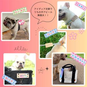 【今だけ送料無料!】シヤチハタ公式 おなまえス...の詳細画像2
