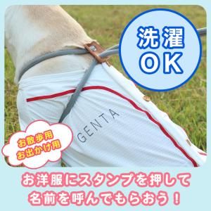 【今だけ送料無料!】シヤチハタ公式 おなまえス...の詳細画像3