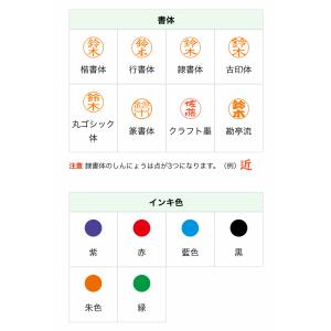 印面付き キャップレス9 バイオマスプラスチッ...の詳細画像2