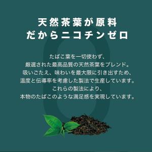 コバト ccobato ブルーベリー ニコチン...の詳細画像2