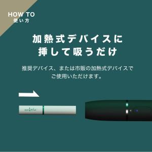 コバト ccobato ブルーベリー ニコチン...の詳細画像4