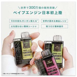 ベイプエンジン 電子タバコ ベイプ 使い捨て ...の詳細画像1
