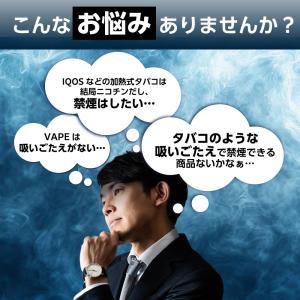 2500回 電子タバコ 使い捨て ベイプ 持ち...の詳細画像3