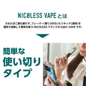 電子タバコ 使い捨て ベイプ 持ち運び シーシ...の詳細画像2