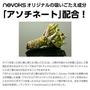 電子タバコ タール ニコチン0 VAPE ベイ...の詳細画像3