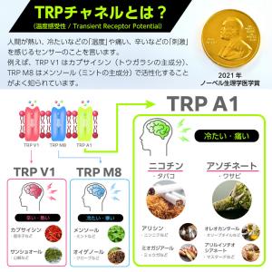 電子タバコ タール ニコチン0 VAPE ベイ...の詳細画像4