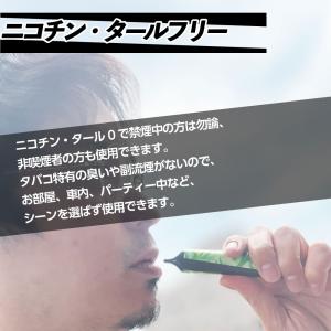 SLASH 電子タバコ 使い捨て ベイプ 持ち...の詳細画像1