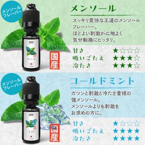 電子タバコ リキッド VAPE ベイプ リキッ...の詳細画像2