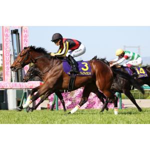 リバティアイランド 三冠制覇特別仕様! Sサイ...の詳細画像3