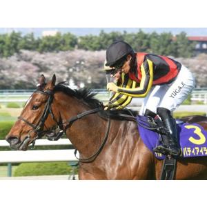 リバティアイランド 三冠制覇特別仕様! Sサイ...の詳細画像4
