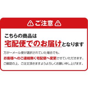 パグ アニマル ( キャップ 選べる3色 パグ...の詳細画像5
