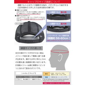 トイプードル 動物 おもしろ アニマル ( 選...の詳細画像4