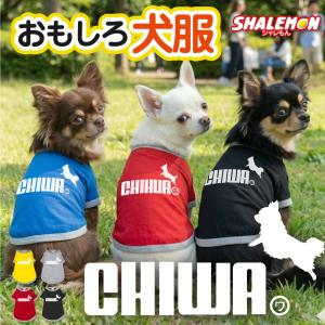 チワワ 犬服 犬T ドッグ Tシャツ ( 犬用T...の商品画像
