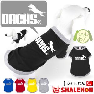 シャレもん ビション 犬服 アニマル 服 ( シャレわん 犬用Tシャツ