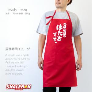 還暦祝い エプロン 母 女性 還暦 おしゃれ ...の詳細画像2