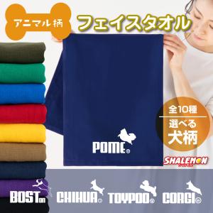犬 タオル プレゼント ポメラニアン 雑貨 おも...の商品画像