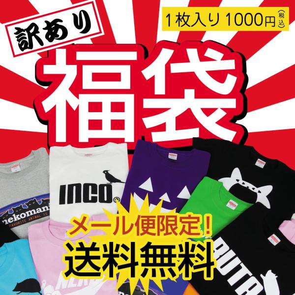 福袋 訳あり ( おもしろTシャツ 福袋 )送料無料 ポッキリ Tシャツ メンズ レディース アウト...