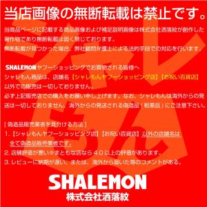 おもしろ tシャツ ( なんかちがう からあげ...の詳細画像5