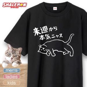 猫 ネコ 猫の日 グッズ 猫柄 ねこ 【 選べる 8色 Tシャツ 来週から本気ニャス 】｜shalemon