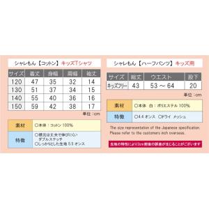 新年会 コスプレ ( Tシャツ&ハーフパンツ ...の詳細画像5