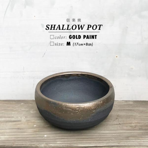 KAMIYAMA【金彩浅鉢 -M- 】SHALLOW POT 17cm×8cm かみ山陶器 植木鉢 ...