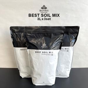 best soil mix【3L】×3袋セット 送料無料 ベストソイルミックス BANKS Collection 培養土 多肉 観葉植物 プレミアム用土 杉山拓巳 植え替え まとめ買い｜SHALLOWPLANTS