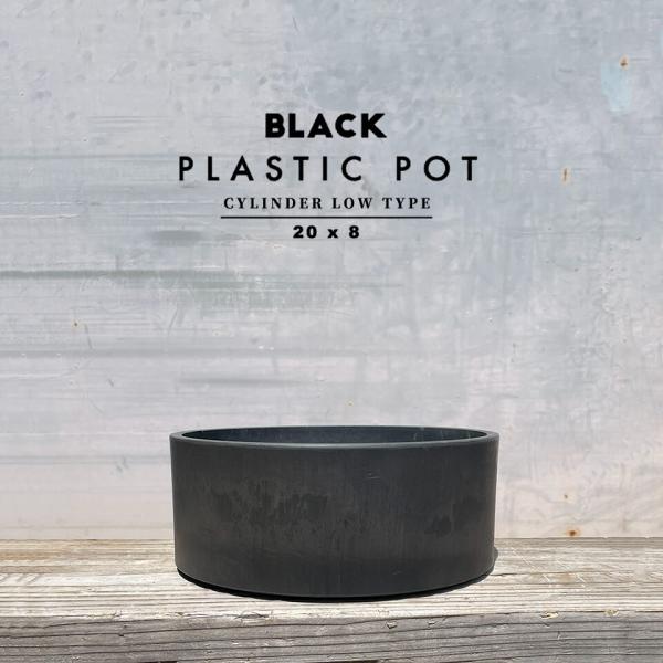 BLACK PLASTIC POT【CYLINDER LOW TYPE】20cm×8cm 黒 プラ鉢...
