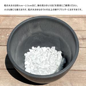 evo 水はけをよくする鉢底石【2L】 ガーデ...の詳細画像4