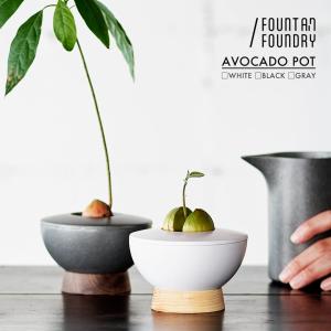 AVOCADO POT アボカドの種を育てる器 【FOUNTAIN/FOUNDRY】水耕栽培 植木鉢 球根 おしゃれ かっこいい 子株 カキコ 葉挿し プレゼント 白 バレル研磨