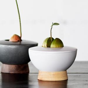 AVOCADO POT アボカドの種を育てる器...の詳細画像1