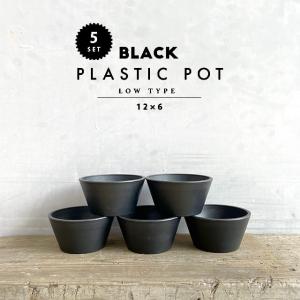 【5個セット】BLACK PLASTIC POT【LOW TYPE】12cm×6cm 黒 プラ鉢 4号 植木鉢 ブラックポット おしゃれ かっこいい 厚い 浅鉢 低い 小さい marvista greenship｜SHALLOWPLANTS