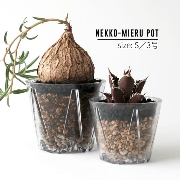 NEKKO-MIERU POT【S】3号 排水性・通気性に優れた「根が見える透明プラ鉢」 植木鉢 ス...