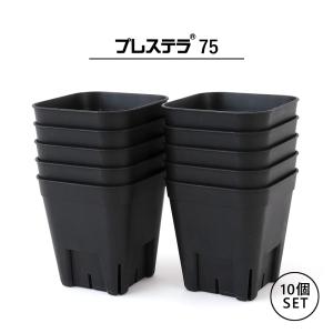 プレステラプレート120 排水性のよいメッシュ構造の受け皿 R3LABO 日本