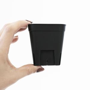 【単品】プレステラ【 75 】64mm×57m...の詳細画像1
