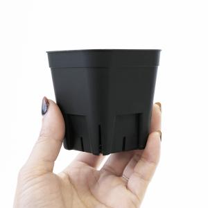 【単品】プレステラ【 75 】64mm×57m...の詳細画像2